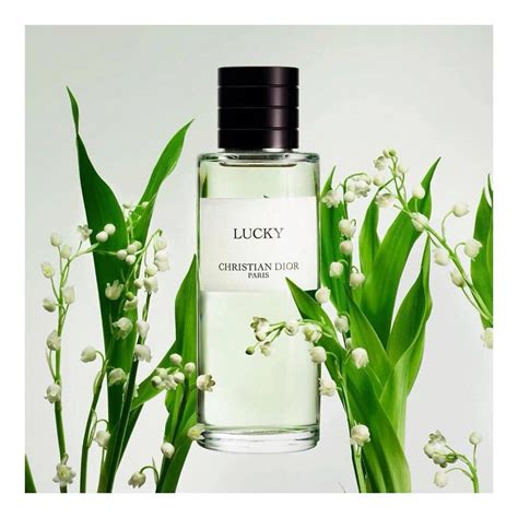 lily dior est un homme|Lily Dior perfume .